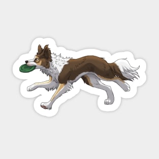 Running Tricolor Brown Border Collie with Frisbee Sticker